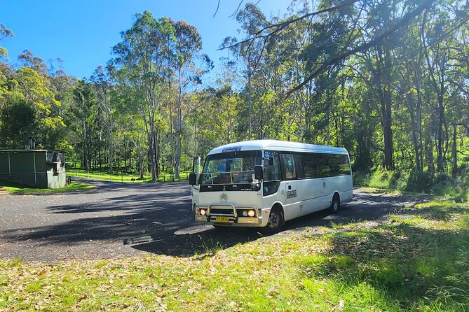Blue Mountains Small Group Tour with Waterfall Walk & Fresh Lunch - Value for $86.07: what you get (and why it feels fair)