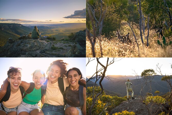 Blue Mountains Sunset Tour with Kangaroo Sightings from Sydney - Blue Mountains National Park Entry: What You’re Seeing (and Why It’s Special)
