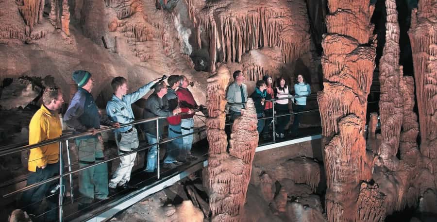 Blue Mountains Tour from Sydney - Full Day Private Tours - Key Things I’d Notice Right Away