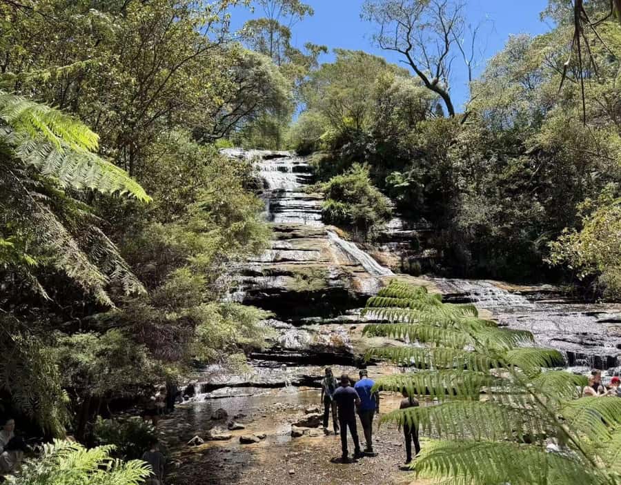 Blue Mountains Tour, Katoomba Falls & Cockatoos Small Group - Key things that make this tour worth your time