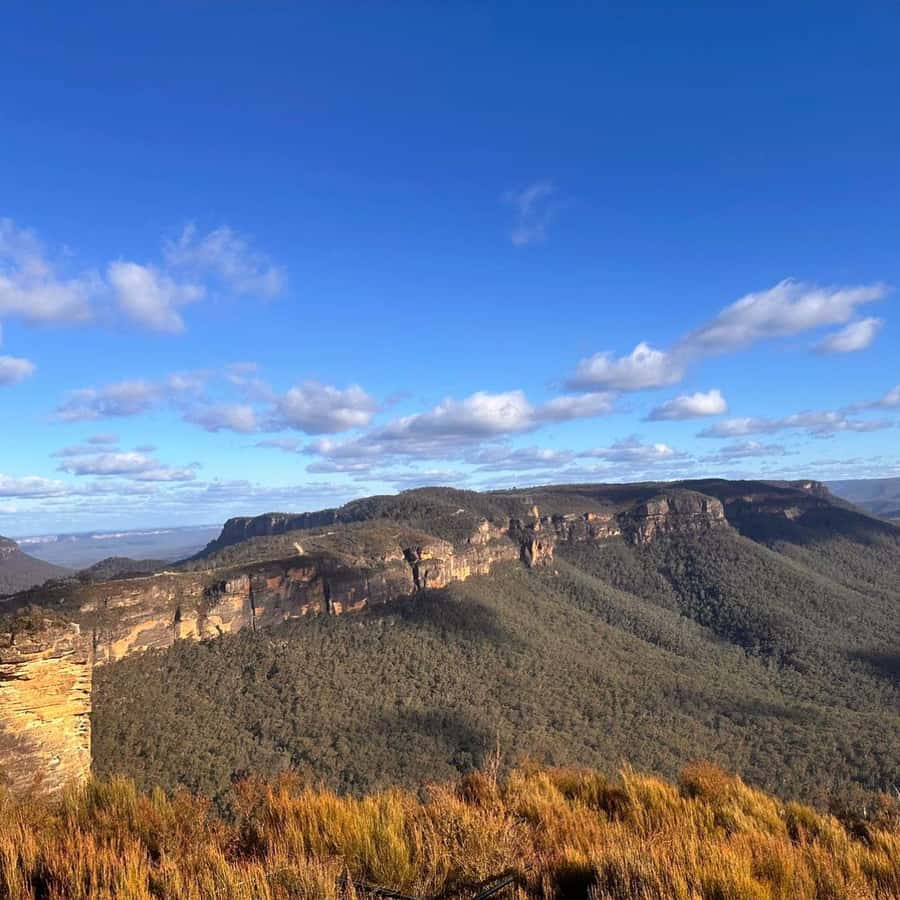 Blue Mountains Tour, Katoomba Falls & Cockatoos Small Group - Value check: what you’re really getting for around $121