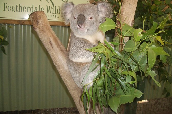 Blue Mountains Tour PRIVATE with Wildlife Park and River Cruise - World Heritage Lookouts: Echo Point and the Three Sisters Canyon Views