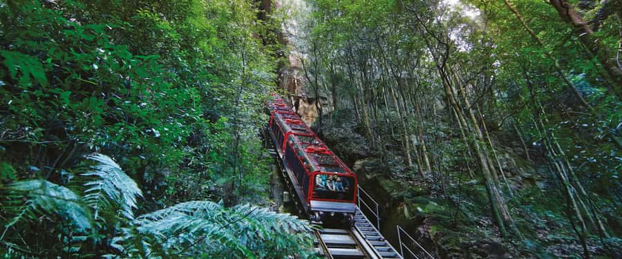 Blue Mountains Tour - Small grp, Koala, Kangaroo & Waterfall - Wentworth Falls Walk Time: Second Chance to Get the Shots