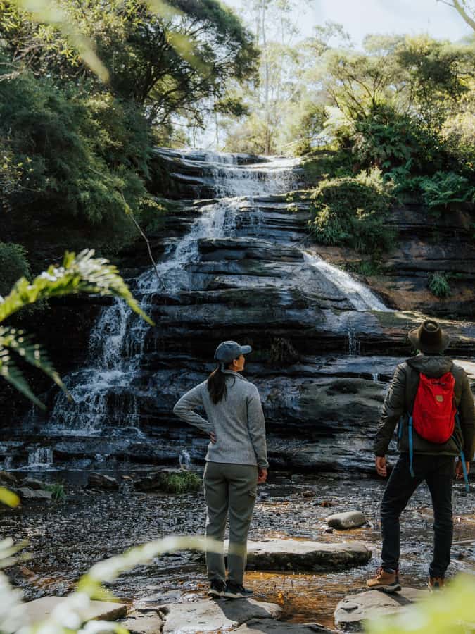 Blue Mountains Tour - Small grp, Koala, Kangaroo & Waterfall - Ferry Ride Back to Sydney Olympic Park Wharf to Circular Quay