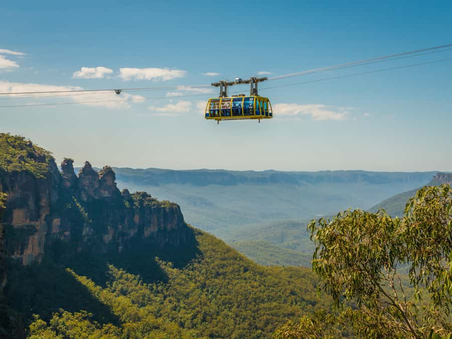 Blue Mountains Tour w/Lunch: Scenic World, Zoo & Koala Photo - Sydney Zoo with the koala photo: a fun reset after mountain time