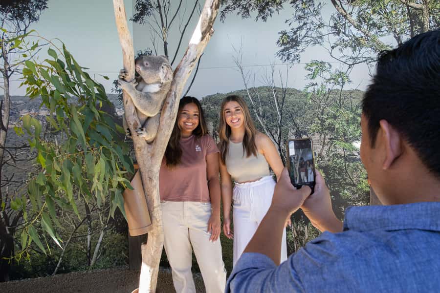 Blue Mountains Tour w/Lunch: Scenic World, Zoo & Koala Photo - Hotel pickup in central Sydney: where the day starts