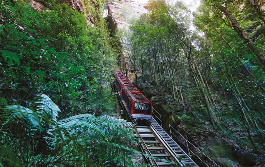 Blue Mountains Tour with Scenic World, Zoo&Bilingual Driver - Key things I’d plan around