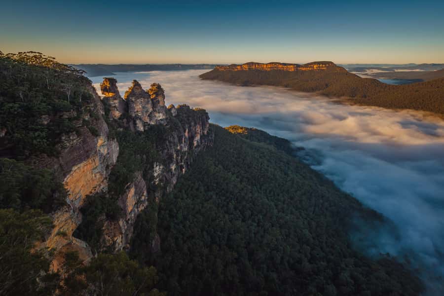Blue Mountains Tour with Scenic World, Zoo&Bilingual Driver - Featherdale Wildlife Park: up-close Aussie animals with limited time