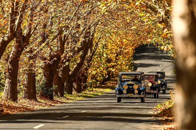 Blue Mountains Vintage Cadillac Tour with Local Guide - Why a 1929 LaSalle Cadillac ride feels different on the Blue Mountains