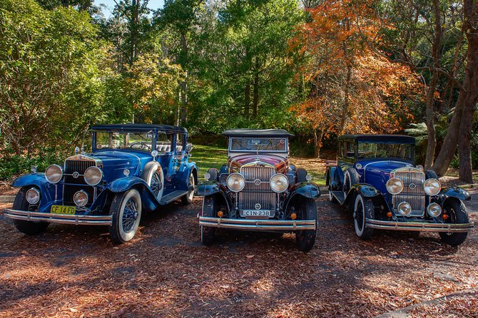 Blue Mountains Vintage Cadillac Tour with Local Guide - Echo Point, Eagle Hawk, and Cahill’s Lookout: photo stops that actually pay off