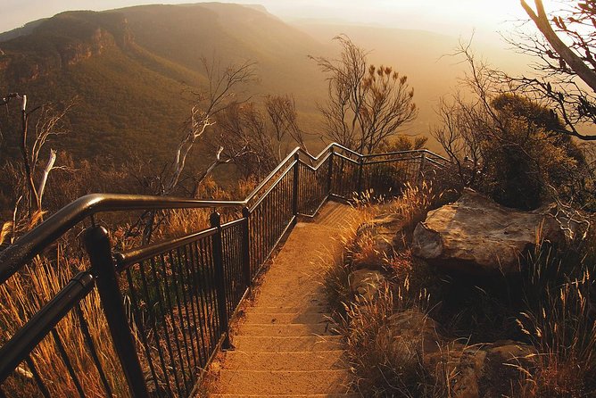 Blue Mountains Vintage Cadillac Tour with Local Guide - Should you book Blue Mountains Limousines & Vintage Cadillacs?
