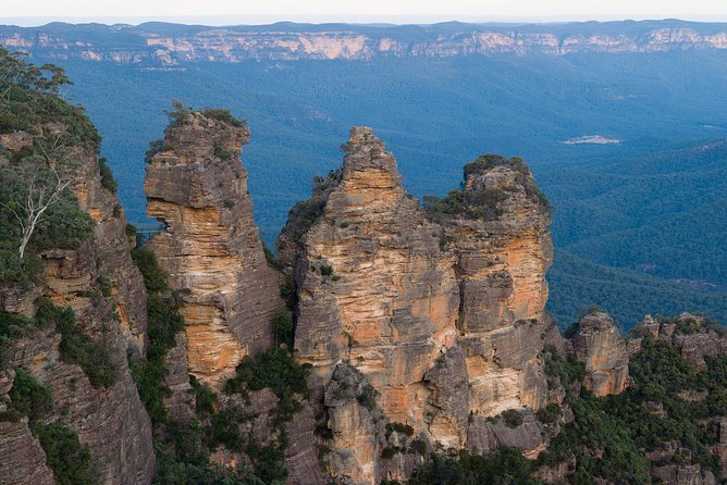 Blue Mountains Wildlife Full-Day Sights and Hiking from Sydney - Mount Tomah Botanic Garden: your calm landing after cliffs