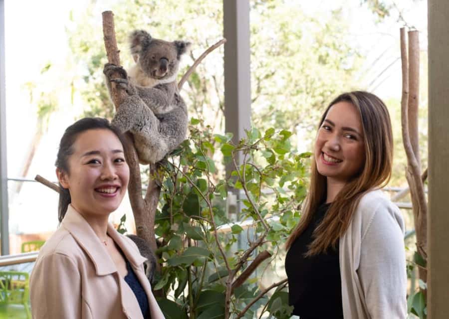 Breakfast with Koalas at WILD LIFE Zoo Darling Harbour - 7:30 to 8:30: the keeper-led highlights tour