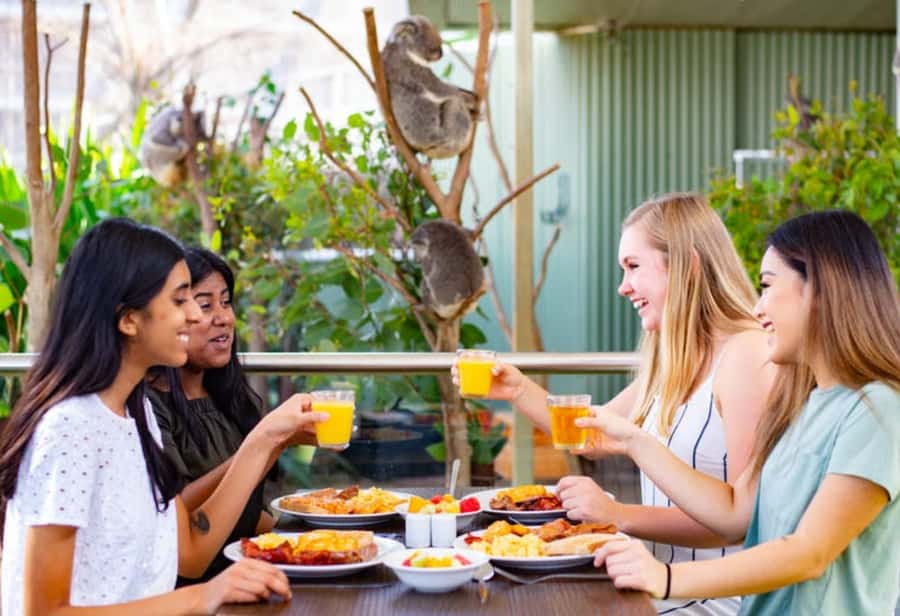 Breakfast with Koalas at WILD LIFE Zoo Darling Harbour - The 7:15 tea-and-registration setup
