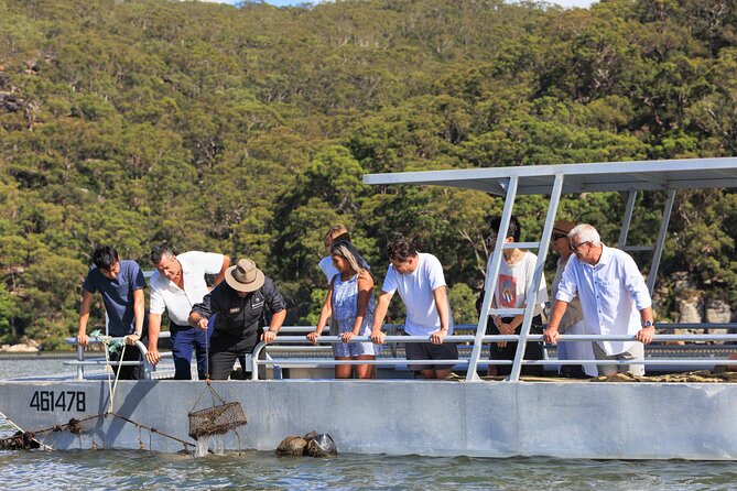 Broken Bay Pearl & Oyster Farm Tours - Hawkesbury River views plus a working farm stop