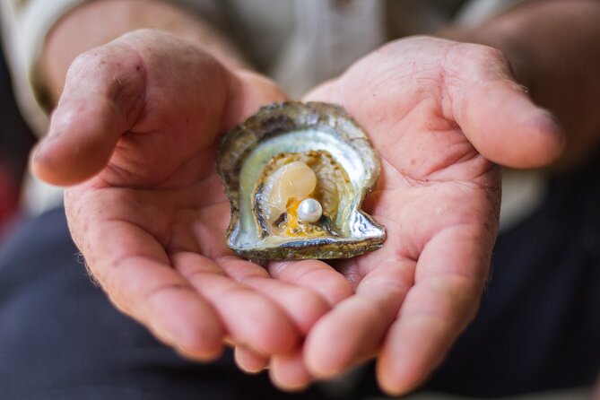 Broken Bay Pearl & Oyster Farm Tours - Small group feel, families, and getting there without drama