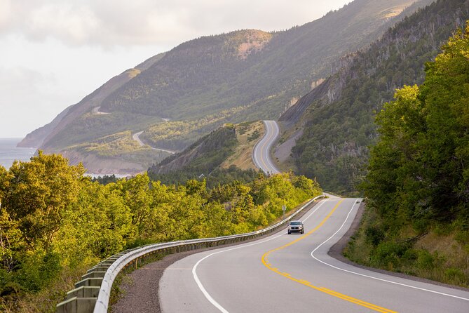 Cabot Trail Bus Tour for Cruise Excursion - Why a cruise-friendly Cabot Trail day makes sense from Sydney