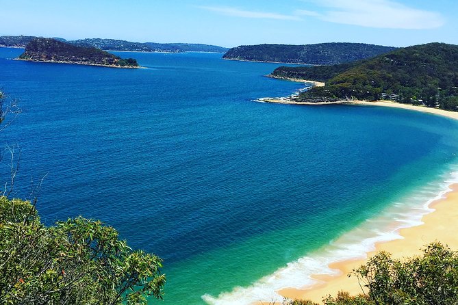 Central Coast Private Tour From Sydney, with Australian Reptile Park Option - Key highlights before you go