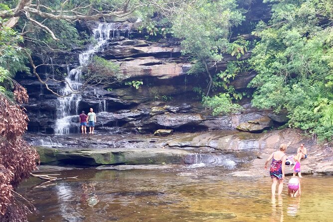Central Coast Private Tour From Sydney, with Australian Reptile Park Option - Mount Ettalong Lookout: gentle bush walk with 360-degree payoff