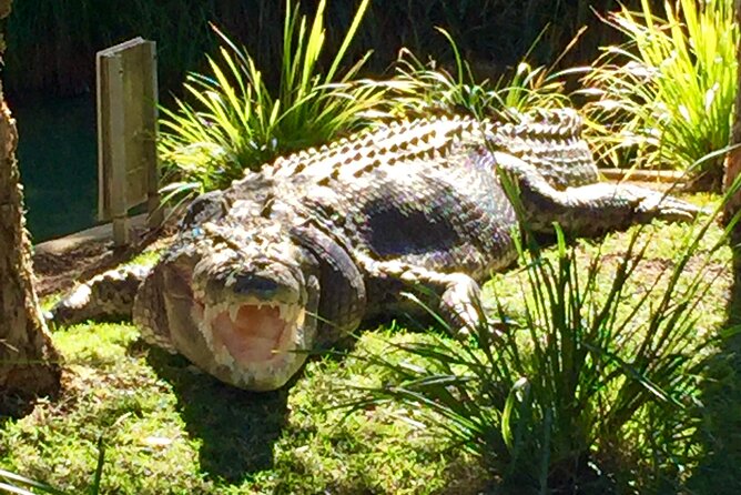 Central Coast Private Tour From Sydney, with Australian Reptile Park Option - Ettalong Beach lunch at the Ettalong Club (a practical break)
