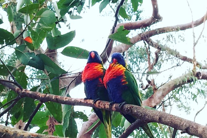 Central Coast Private Tour From Sydney, with Australian Reptile Park Option - Wyong Milk Factory: cheese and chocolate to break up the coastal run