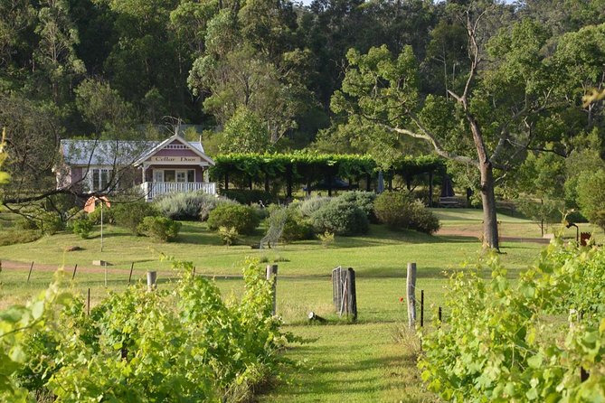 Chef-Led Hunter Valley Gourmet Food and Wine Day Tour from Sydney - Hawkesbury River break: oysters, prawns, and a reset before the vineyards