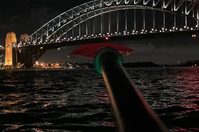 City Lights by Night Paddle on Sydney Harbour Guided Tour - Safety, support, and who this suits best