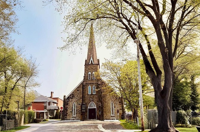 City Sights and Shoreline Tour - Price and Value: Is $48.55 Worth It?