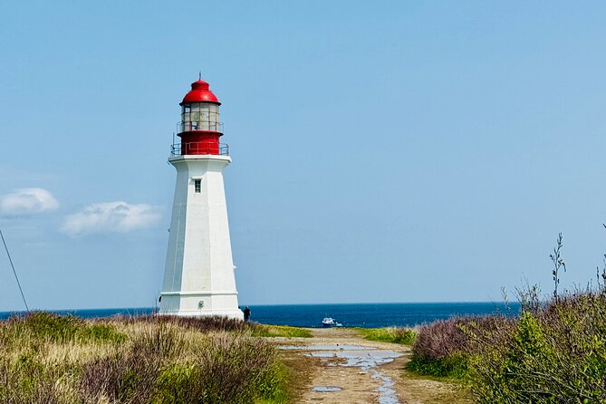 City Sights and Shoreline Tour - What the 90 Minutes Feels Like (and Why It Works)