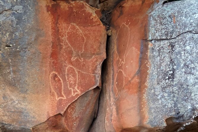 Cowan Creek Lunch paddle with Aboriginal rock art - Key highlights at a glance