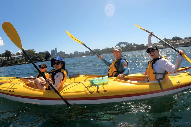 Darling Harbour Explorer - Sea Kayaking Tour - The Historic Vessels You’ll See Close-Up: Vampire, Advance, Onslow