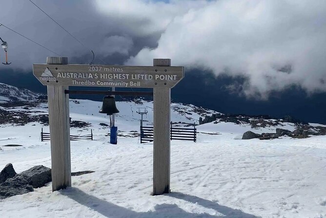 Day Trip To Snowy Mountains From Sydney - Thredbo Village: Chairlift Options, Alpine Walks, and Wildlife Sightings