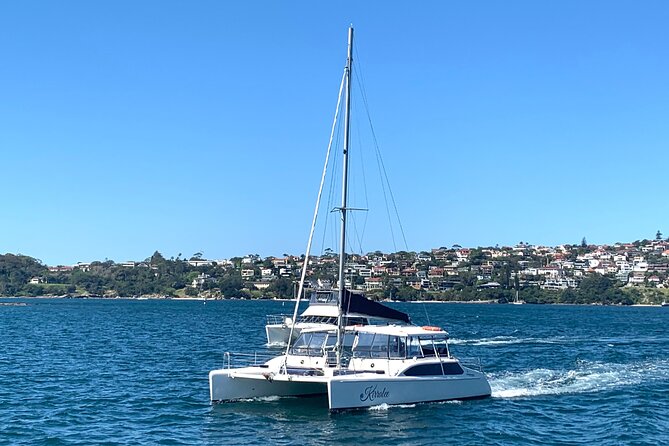 Dogs on Deck Harbour Cruise - Should you book Dogs on Deck Harbour Cruise?