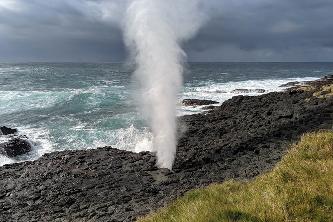 Erupting Blowholes and Ancient Rainforests SOUTH COAST OF SYDNEY PRIVATE TOUR - Key points you’ll care about