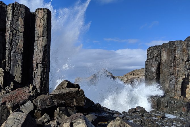 Erupting Blowholes and Ancient Rainforests SOUTH COAST OF SYDNEY PRIVATE TOUR - Sea Cliff Bridge: the drive that feels like a lookout