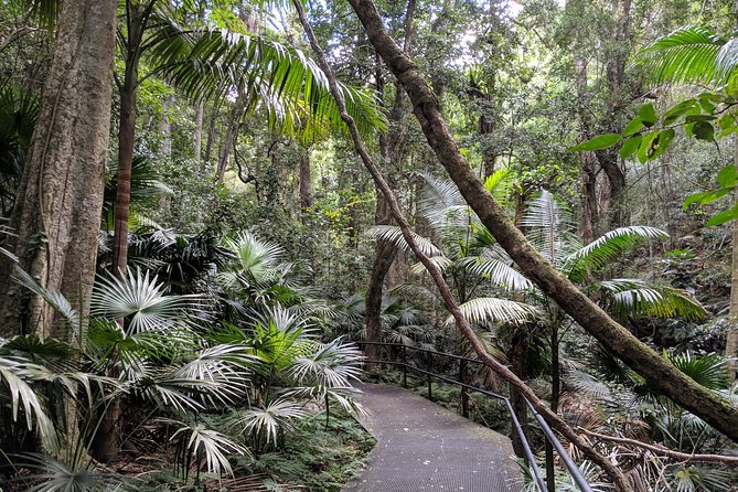Erupting Blowholes and Ancient Rainforests SOUTH COAST OF SYDNEY PRIVATE TOUR - Austinmer Beach and the coffee option that keeps you human