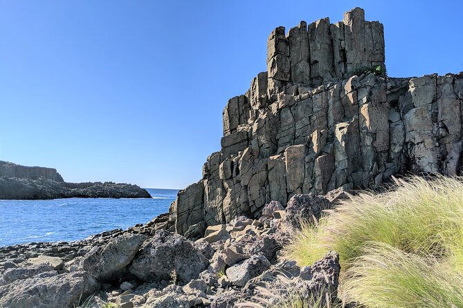 Erupting Blowholes and Ancient Rainforests SOUTH COAST OF SYDNEY PRIVATE TOUR - Cathedral Rocks and Bombo Beach: the coast as ancient sculpture
