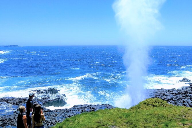 Erupting Blowholes and Ancient Rainforests SOUTH COAST OF SYDNEY PRIVATE TOUR - Ben Barry and the private-tour advantage