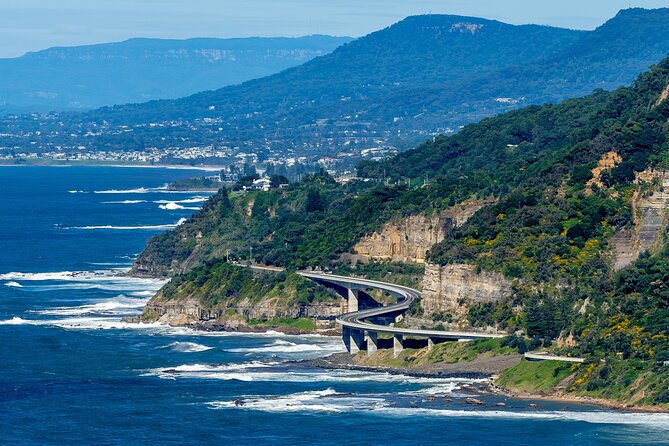 Escape Sydney: Sea Cliff Bridge, Wildlife, Kiama Coast Private - Key things that make this Kiama Coast private tour worth your day