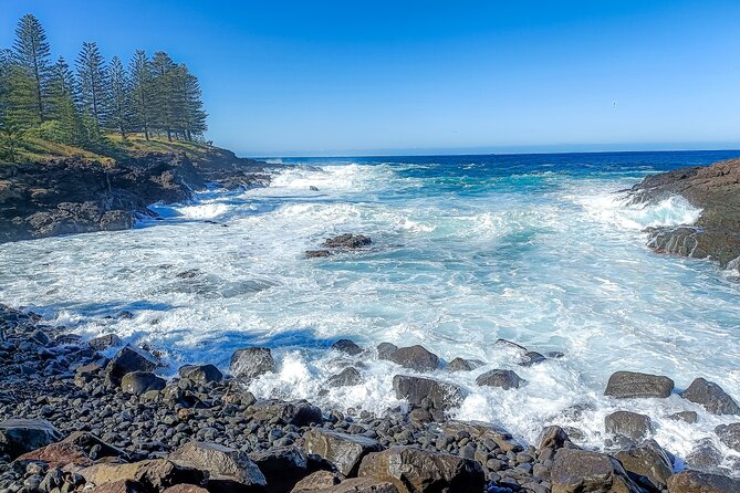 Escape Sydney: Sea Cliff Bridge, Wildlife, Kiama Coast Private - Aboriginal engravings: a stop for meaning, not just views