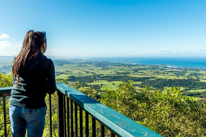 Escape Sydney: Sea Cliff Bridge, Wildlife, Kiama Coast Private - Saddleback Mountain lookout: 270 degrees of “yes, that’s the whole picture”