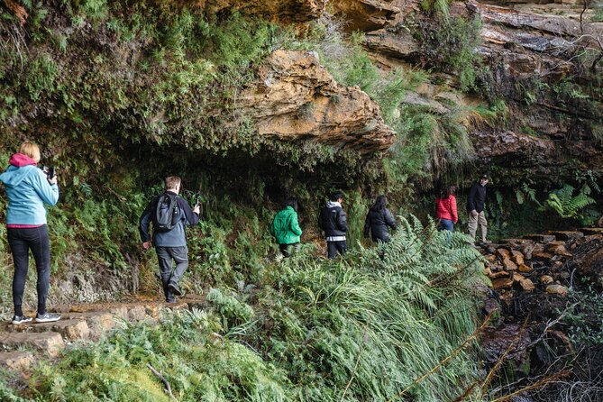Exclusive Blue Mountains Wildlife and Bushwalk Tour From Sydney - The Three Sisters and Echo Point: iconic views, plus Dreamtime context