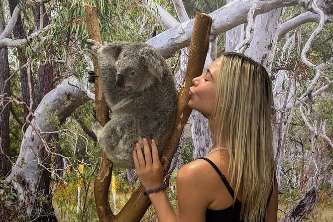 Featherdale Wildlife Park with Exclusive Private Transfers - Key Highlights