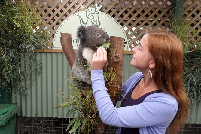 Featherdale Wildlife Park with Exclusive Private Transfers - Price vs Value: Does €207.15 Make Sense?