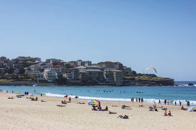 First Timer Sydney Sightseeing & Bondi Beach 1/2 Day Tour - Hyde Park, QVB, Chinatown, and Oxford Street: the city drive with live commentary