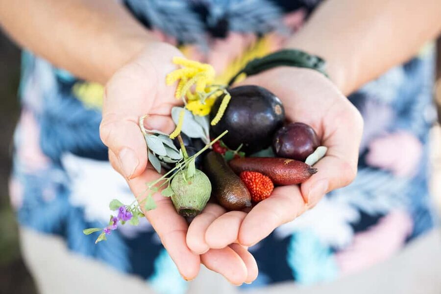 Foraging Food Tour Sydney Native Aussie Food - Getting Oriented: Man O’ War Ferry Wharf to Golden Hour