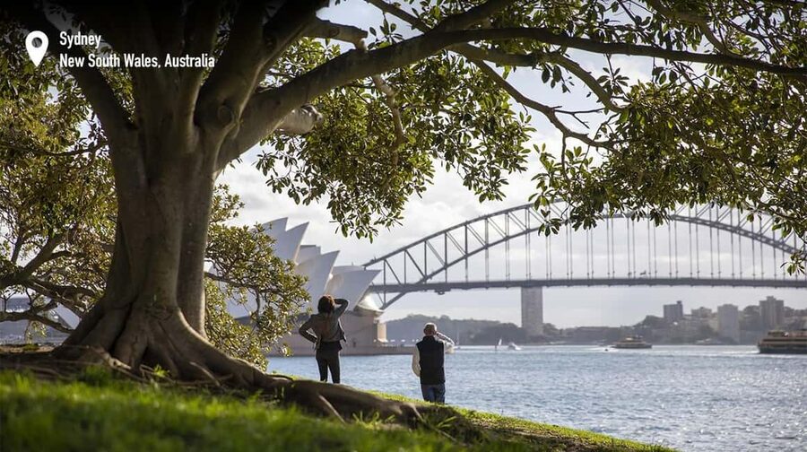 Foraging Food Tour Sydney Native Aussie Food - Spotting Sydney Wildlife Between Tastings