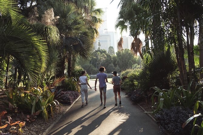 Foraging Tour: Botanical Gardens Walk & Picnic - Meeting at Man O’War Wharf and keeping it easy