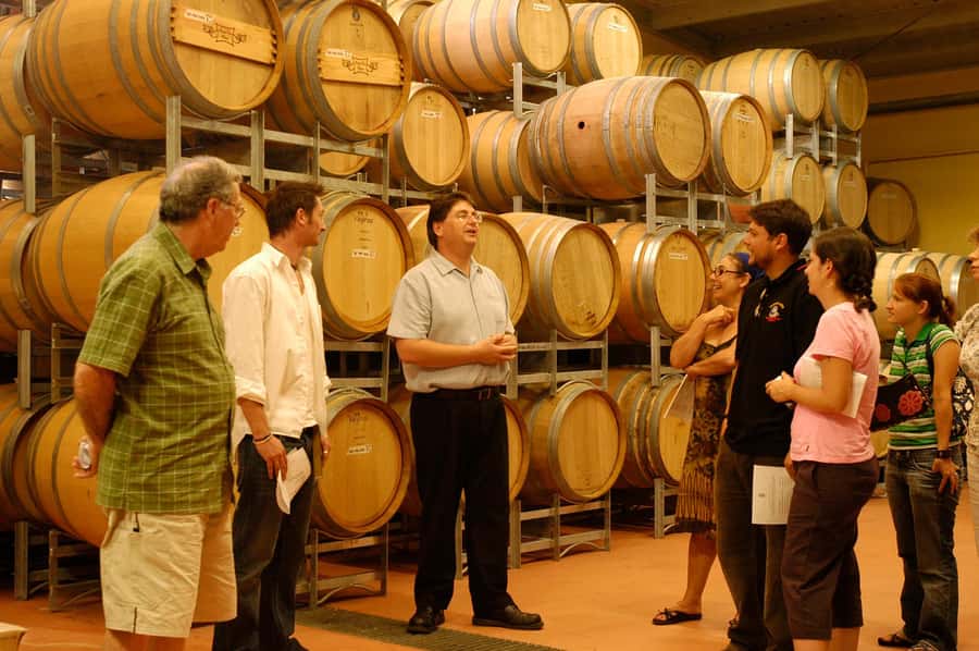 From Sydney: All Inclusive Boutique Hunter Valley Wine Tour - How the Tastings Work: 20+ Wines With Sommelier-Led Guidance