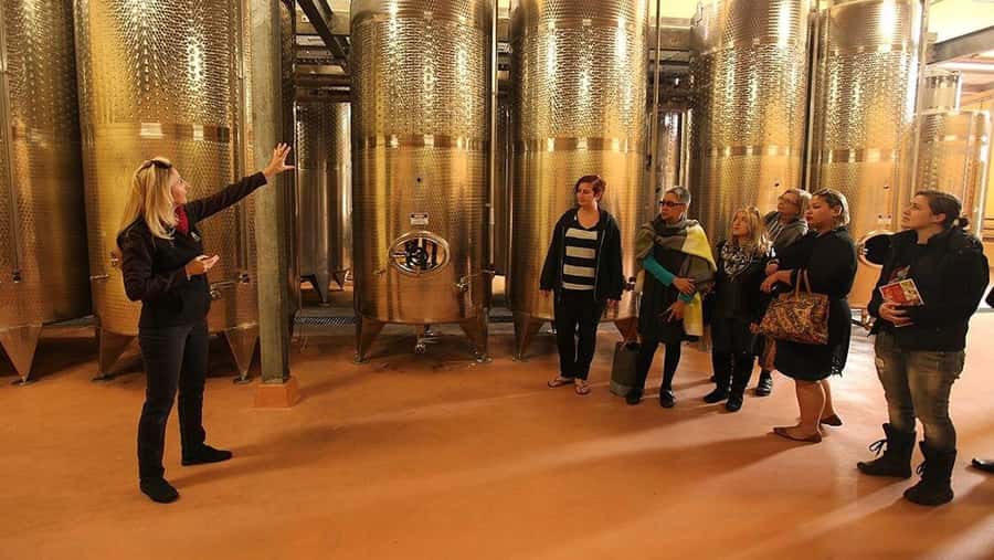 From Sydney: Award-Winning Hunter Valley Wine & Cheese Tour - Boutique wineries and 20+ wines: how the tastings are paced
